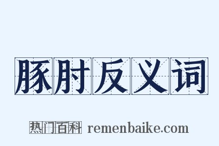 豚肘反义词是什么意思的图片
